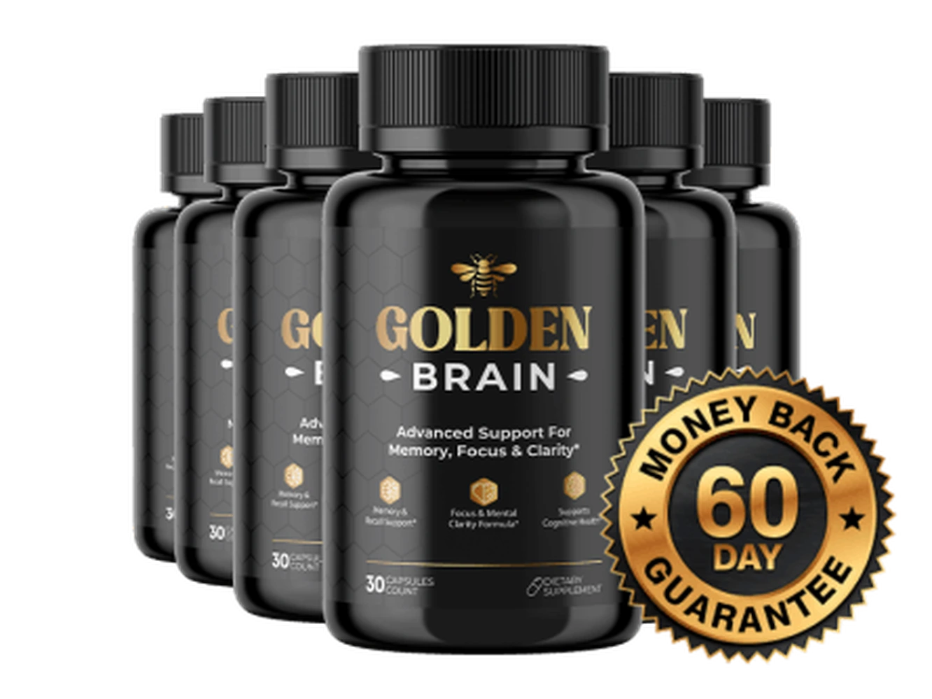 Golden Brain six-bottle bundle